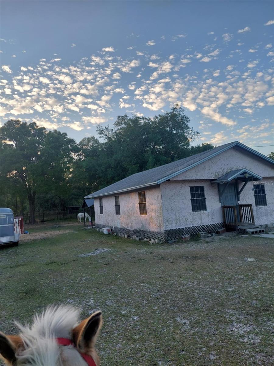 Photo of 14016 N. HWY 301 THONOTOSASSA FL 33592