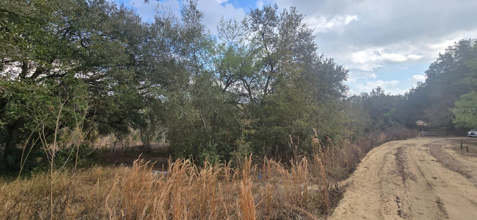 Photo of SE 252ND AVE UMATILLA FL 32784