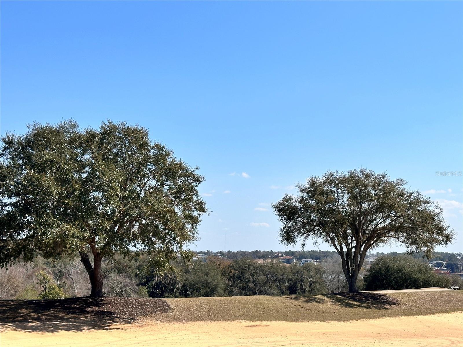 Photo of 16822 ARTIMINO LOOP BELLA COLLINA FL 34756