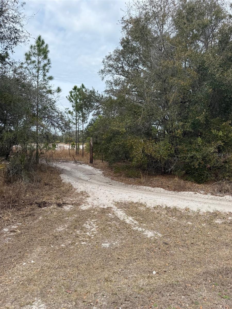 Photo of 8309 N ODYSSEY DR CRYSTAL RIVER FL 34428