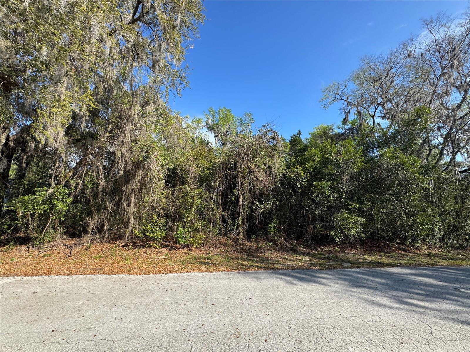 Photo of CR 482C LAKE PANASOFFKEE FL 33538