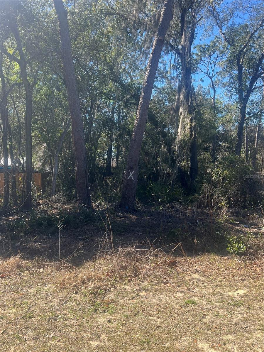 Photo of W SECOND AVENUE UMATILLA FL 32784