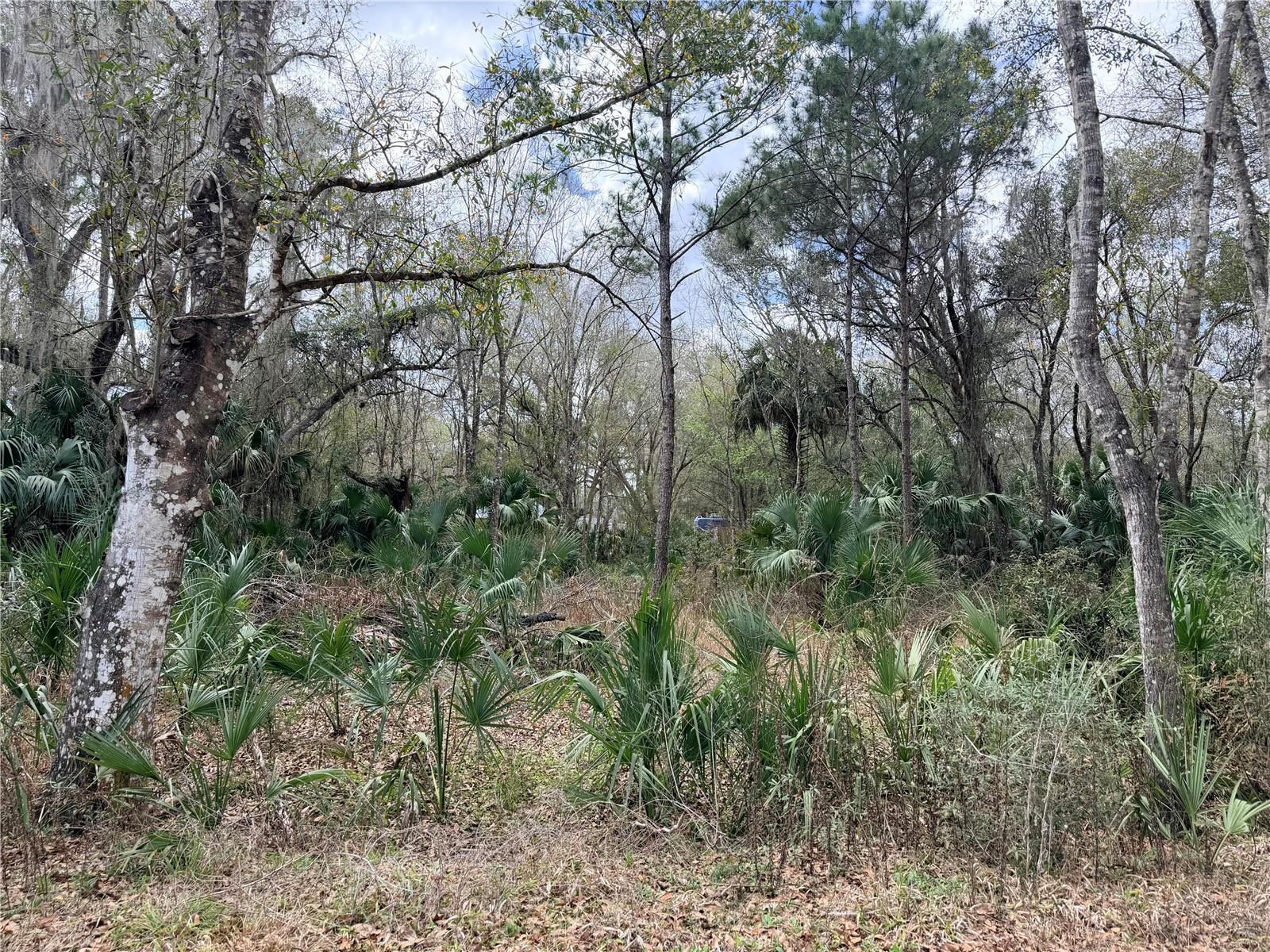 Photo of 736 S SICKLE POINT INVERNESS FL 34450