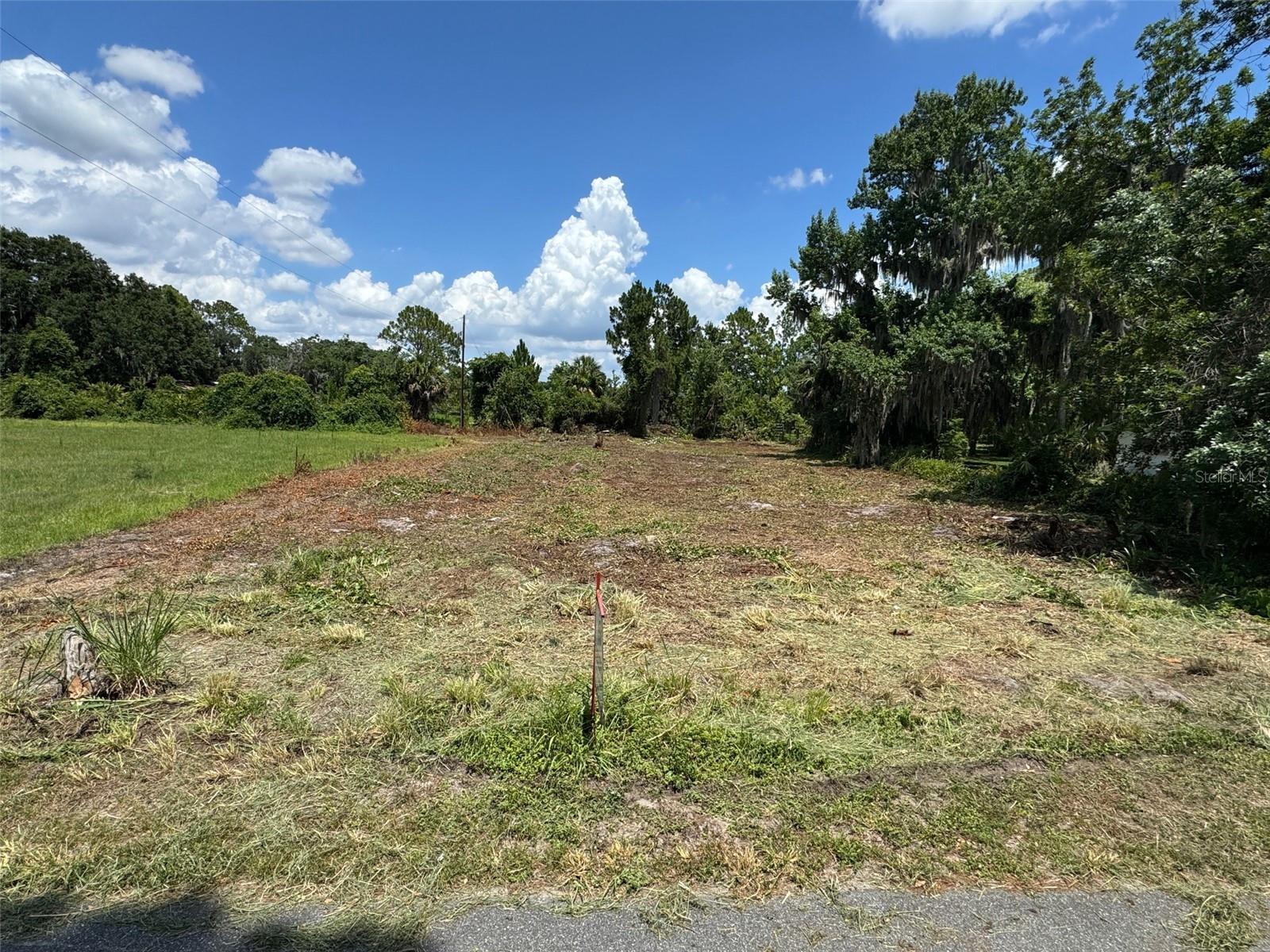 Photo of COVE ROAD TAVARES FL 32778