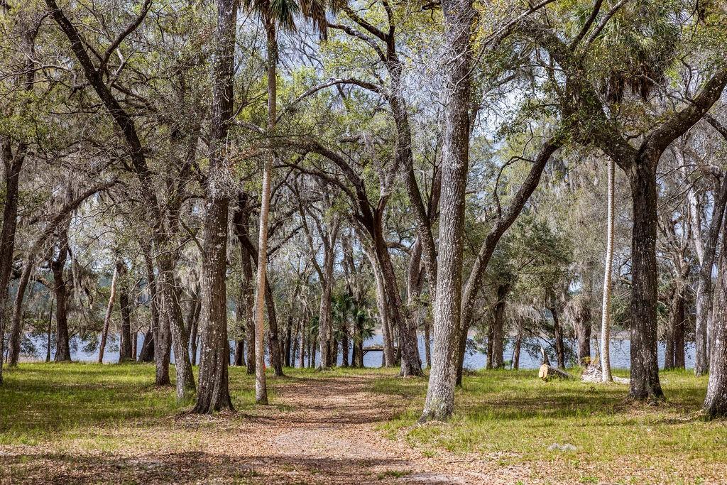 Photo of 0 FOREST 02, #2, SE 150TH STREET UMATILLA FL 32784