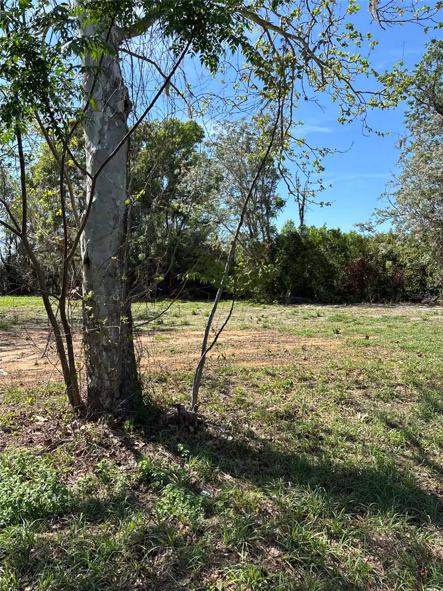 Photo of 0000 STATE ROAD 19 GROVELAND FL 34736