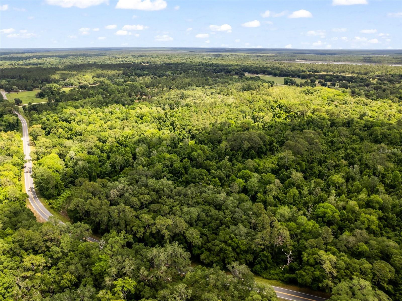 Photo of 0 SE 182ND AVENUE OCKLAWAHA FL 32179