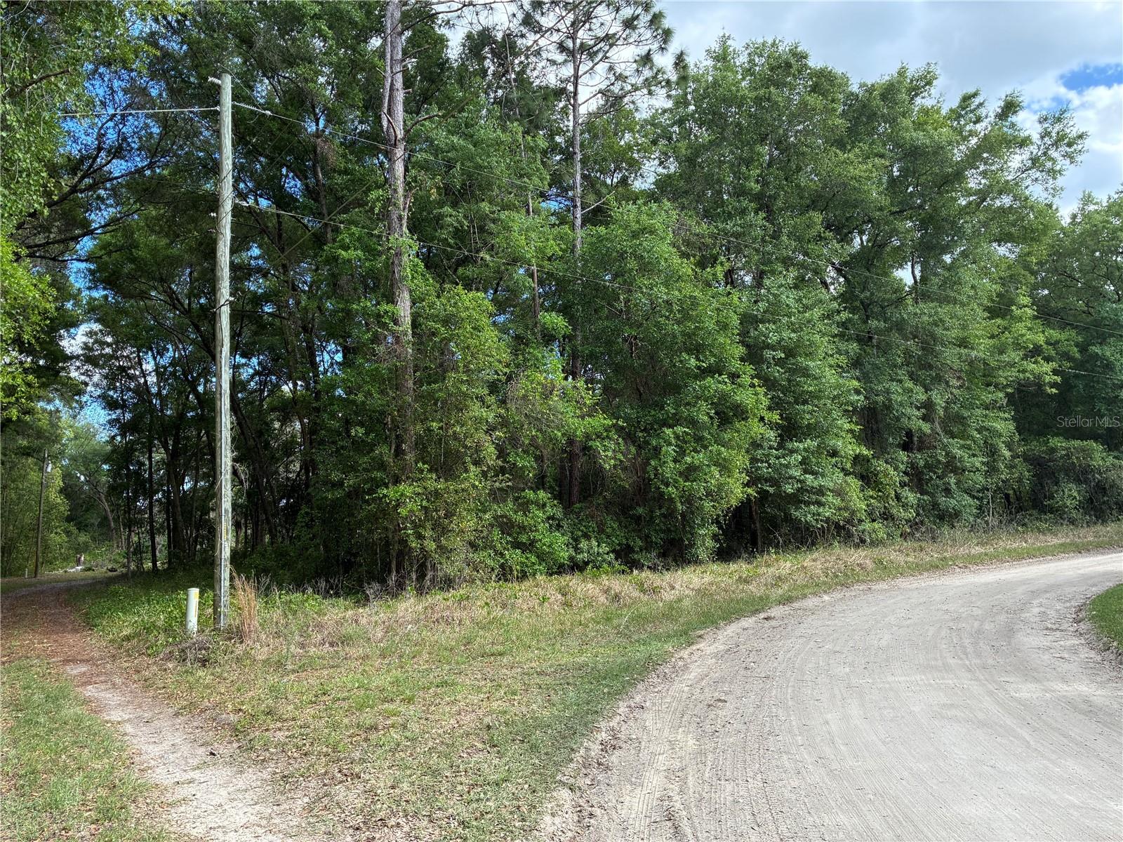 Photo of SE 142ND AVE AND SE 120TH PL OCKLAWAHA FL 32179