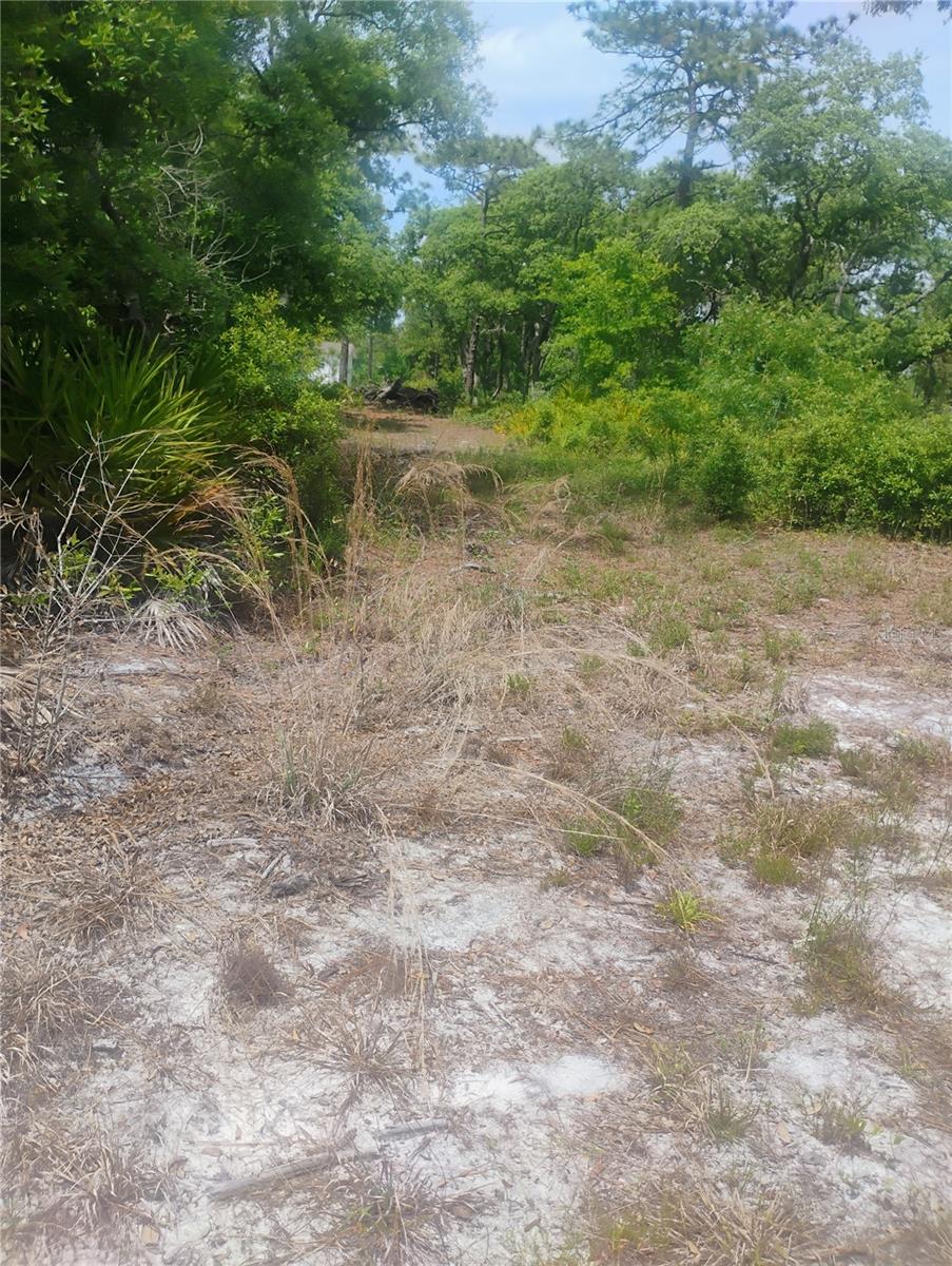 Photo of BROOKSIDE CIRCLE MOUNT DORA FL 32757
