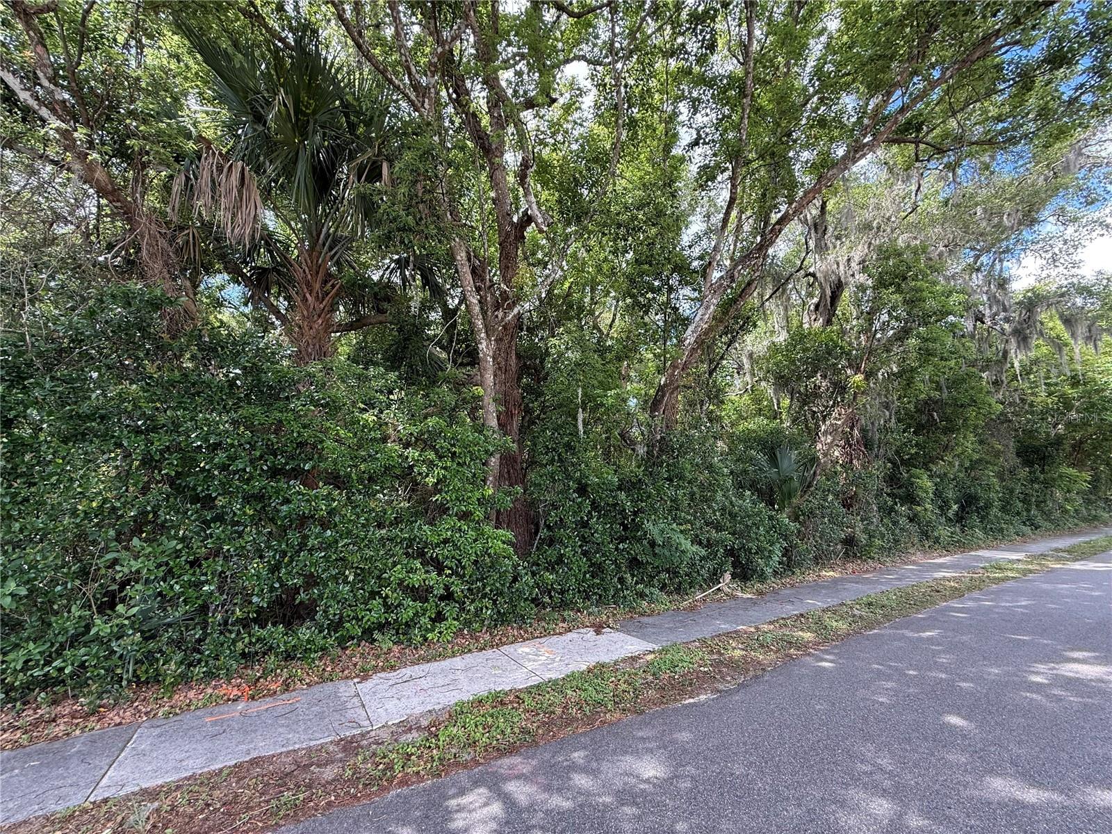Photo of TBD KING AVENUE ZELLWOOD FL 32798