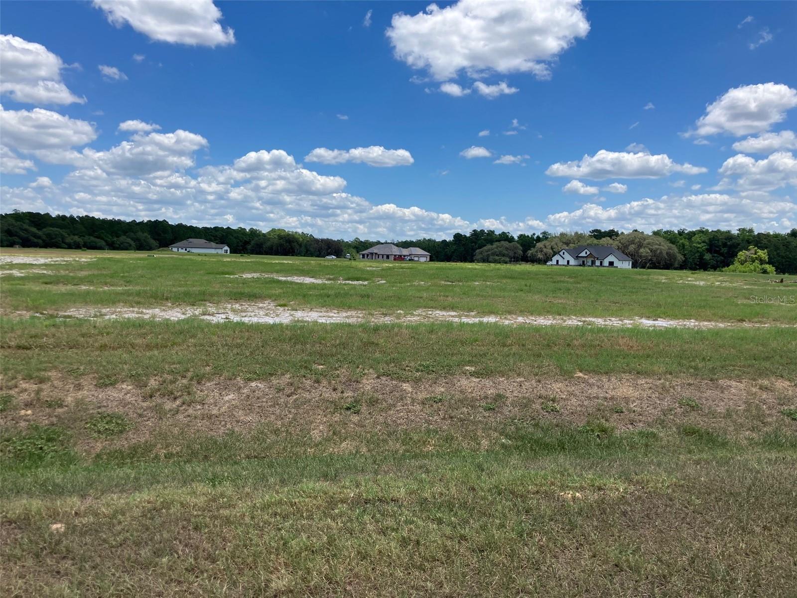 Photo of 38402 WOODED MEADOW DRIVE UMATILLA FL 32784