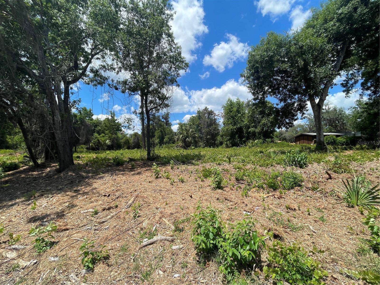 Photo of COUNTY ROAD 42 UMATILLA FL 32784