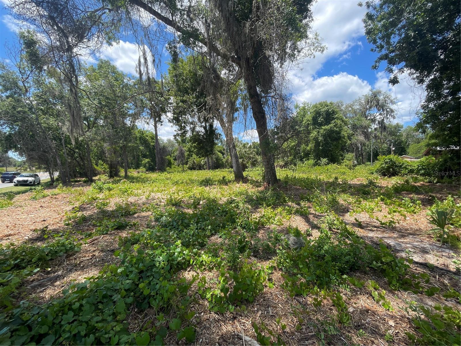 Photo of COUNTY ROAD 42 UMATILLA FL 32784