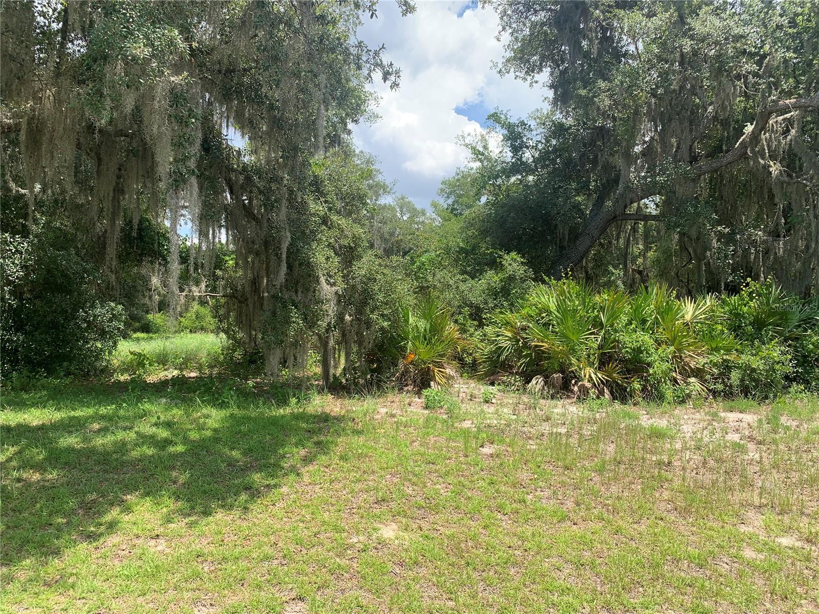Photo of 3113 BRIGHT LAKE CIRCLE GROVELAND FL 34736
