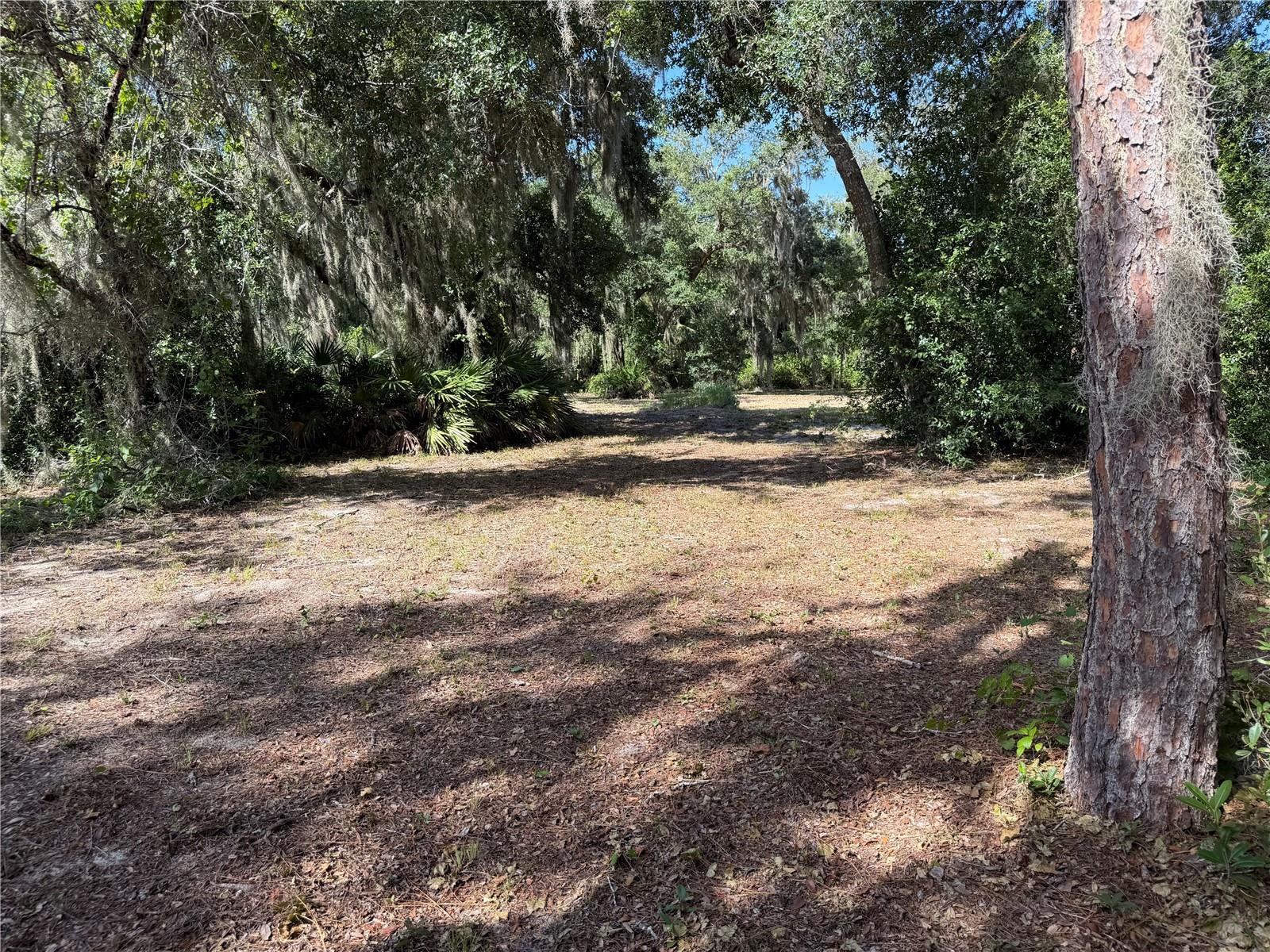Photo of 3113 BRIGHT LAKE CIRCLE GROVELAND FL 34736