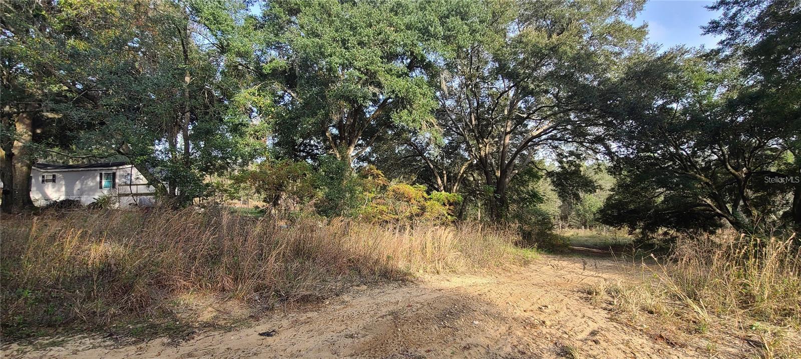 Photo of 17105 SE 252ND AVENUE UMATILLA FL 32784