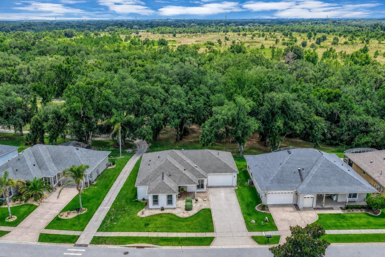 Photo of 4436 ANTIETAM CREEK TRAIL LEESBURG FL 34748