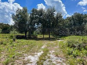 Photo of LAUREL OAK AVENUE MIMS FL 32754