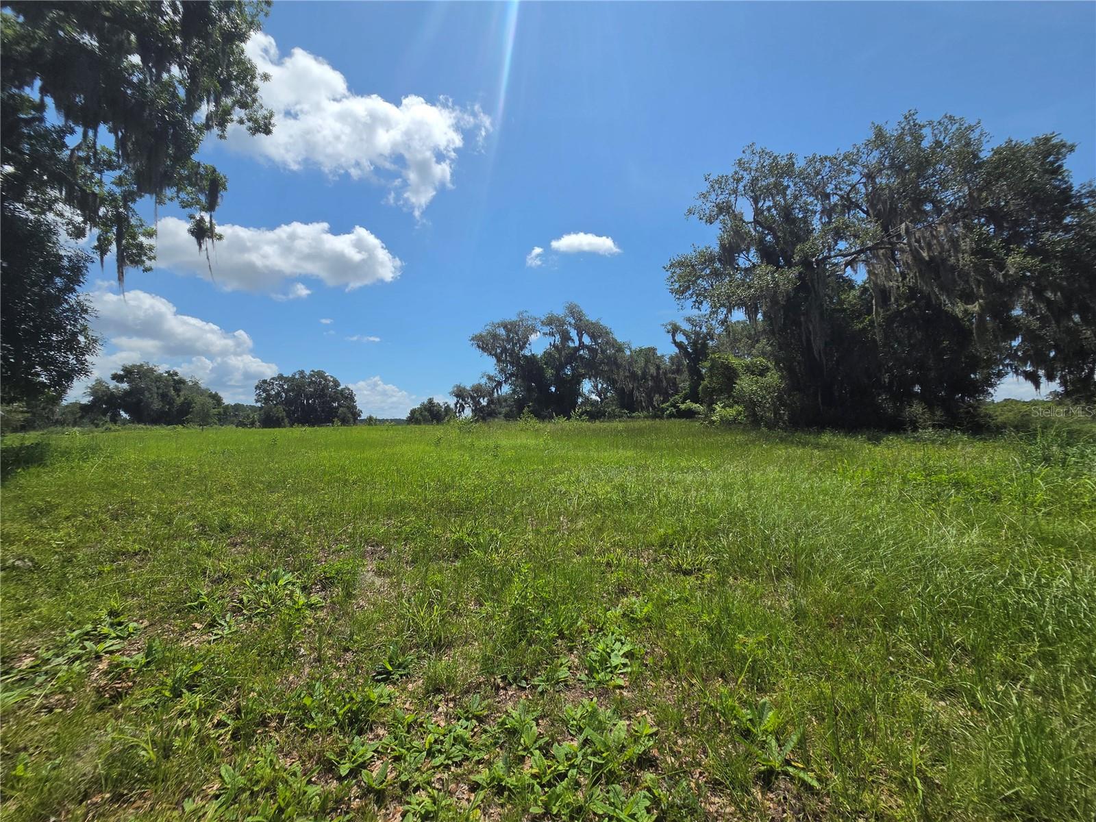 Photo of 466 LONG AND WINDING ROAD HOWEY IN THE HILLS FL 34737