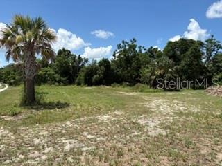 Photo of 801 S DIXIE AVENUE #A FRUITLAND PARK FL 34731