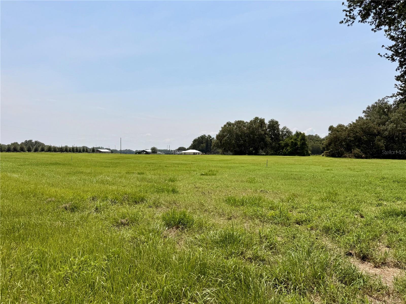 Photo of Parcel 5 CR 708 CENTER HILL FL 33514