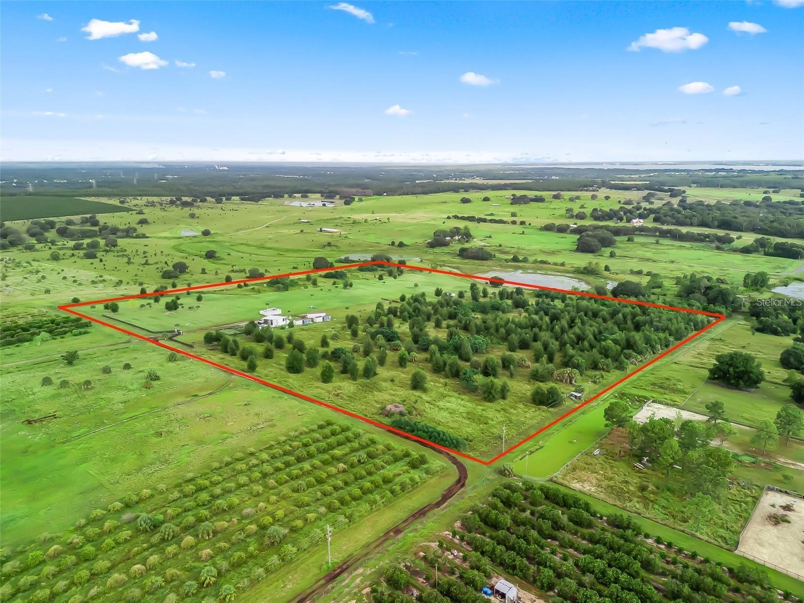 Photo of PUNKIN CENTER ROAD LEESBURG FL 34748