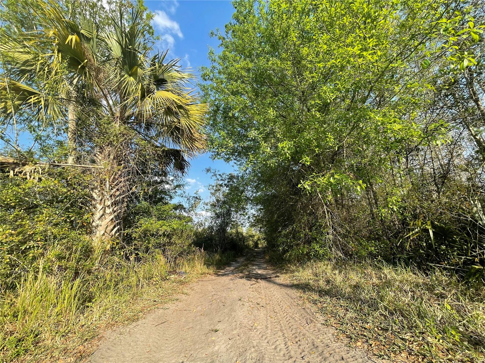 Photo of CONCORD ROAD ST CLOUD FL 34773