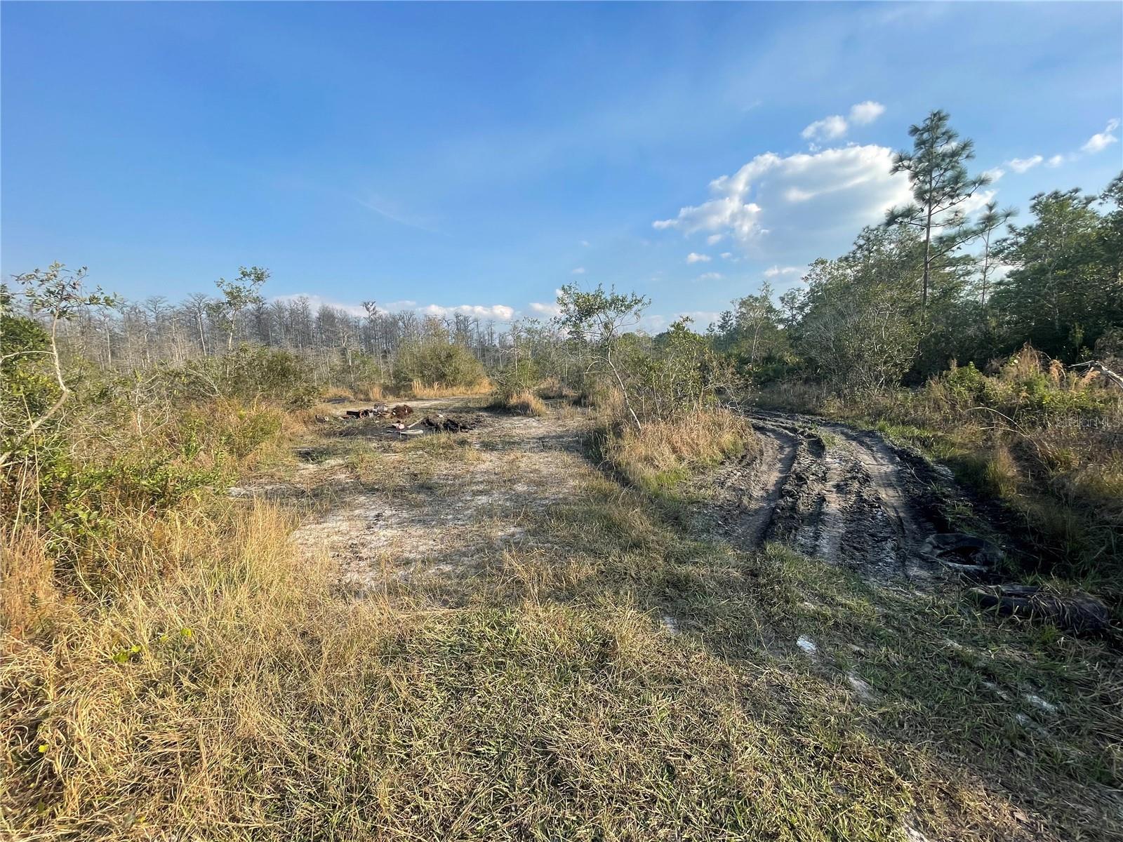 Photo of CONCORD ROAD ST CLOUD FL 34773