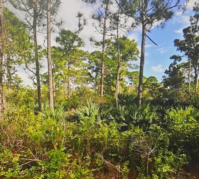 Photo of 5550 TREE TOP TRAIL FORT PIERCE FL 34951