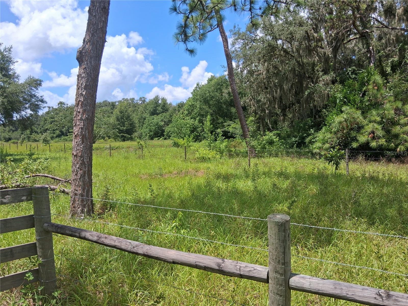 Photo of 409 COUNTY ROAD 542E BUSHNELL FL 33513