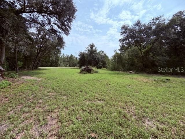Photo of 35356 KRAMER STREET WEBSTER FL 33597