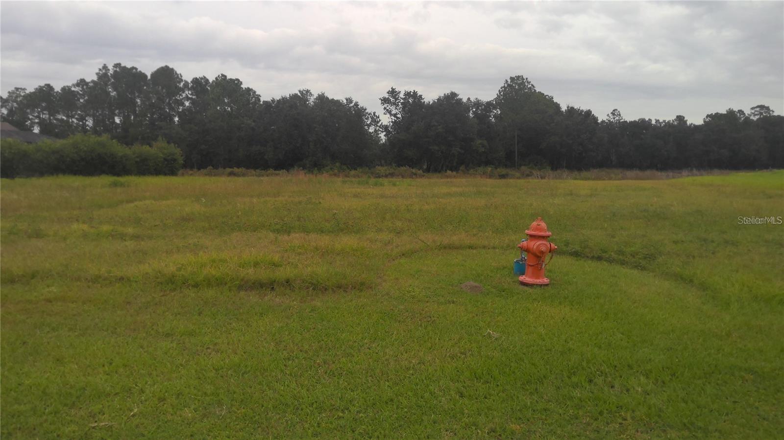 Photo of CYPRESS TRACE BOULEVARD LAKELAND FL 33809