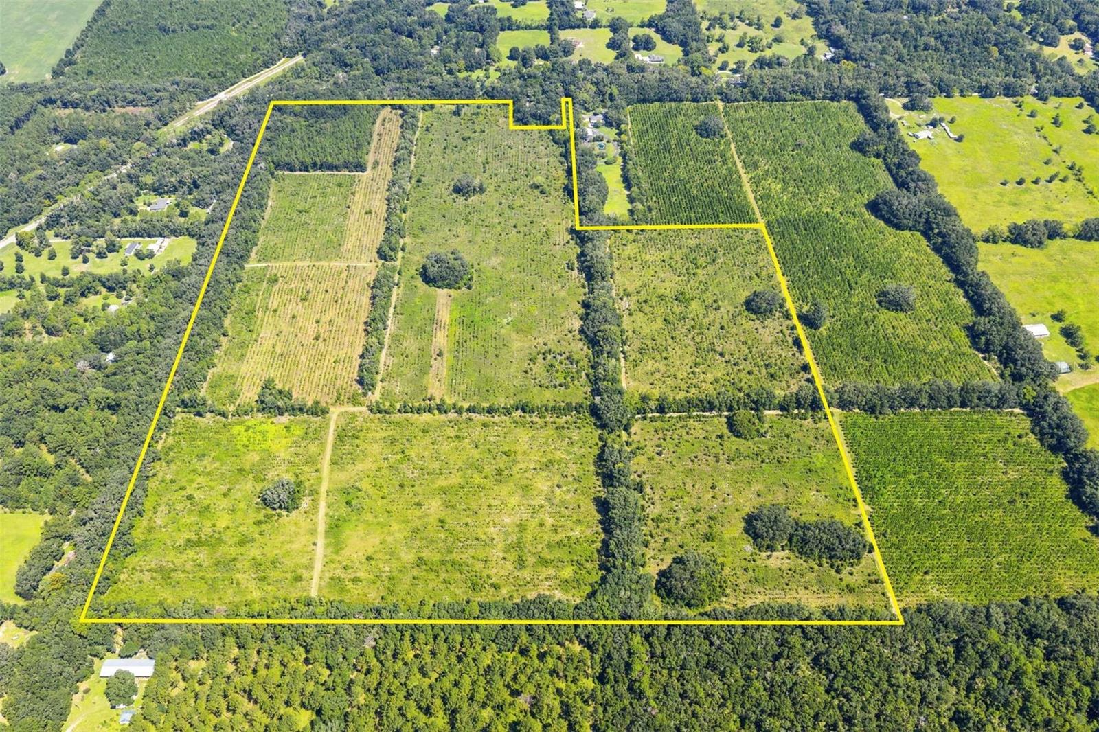 Photo of 20109 NW 62ND AVENUE ALACHUA FL 32615