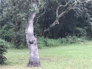 Photo of SW 49TH CT WEBSTER FL 33597