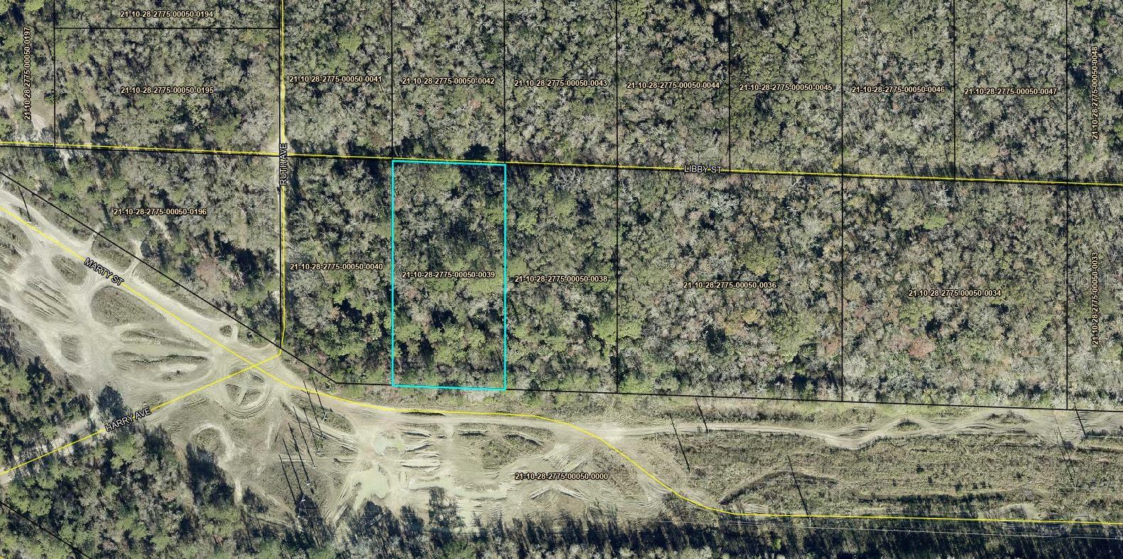 Photo of MARTY STREET HASTINGS FL 32145