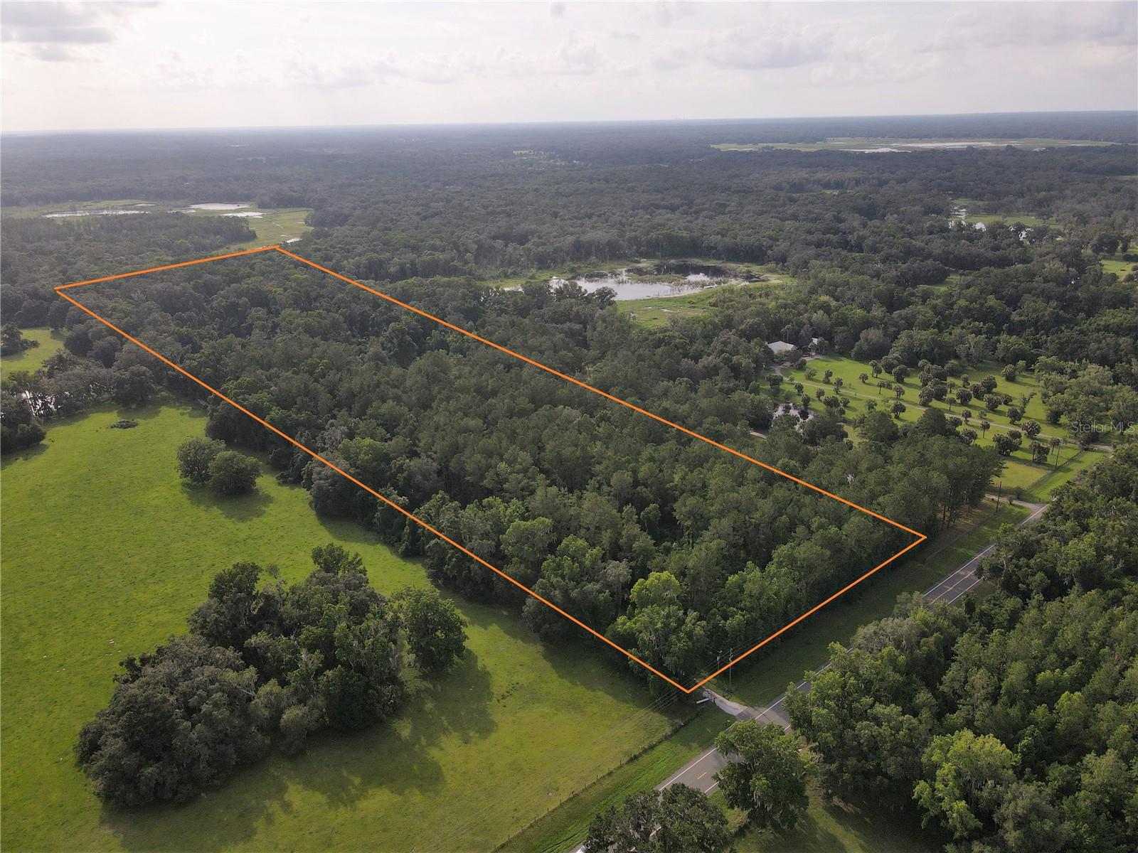 Photo of 15208 SW WILLISTON RD MICANOPY FL 32667