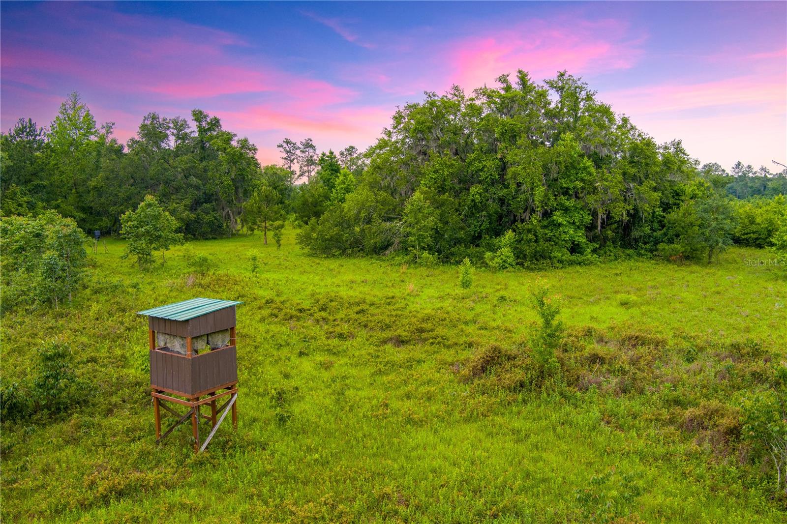 Photo of NW COLIN COURT LAKE CITY FL 32055