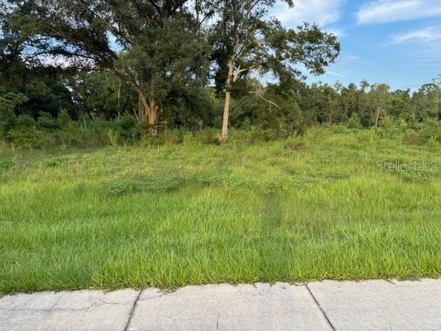 Photo of SW 4TH AVE. CHIEFLAND FL 32626