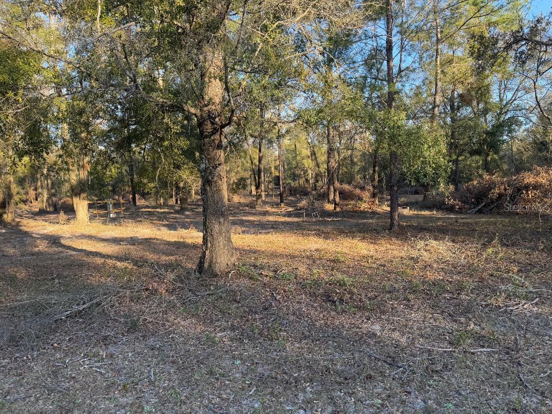 Photo of ROANOKE TERRACE FORT WHITE FL 32038