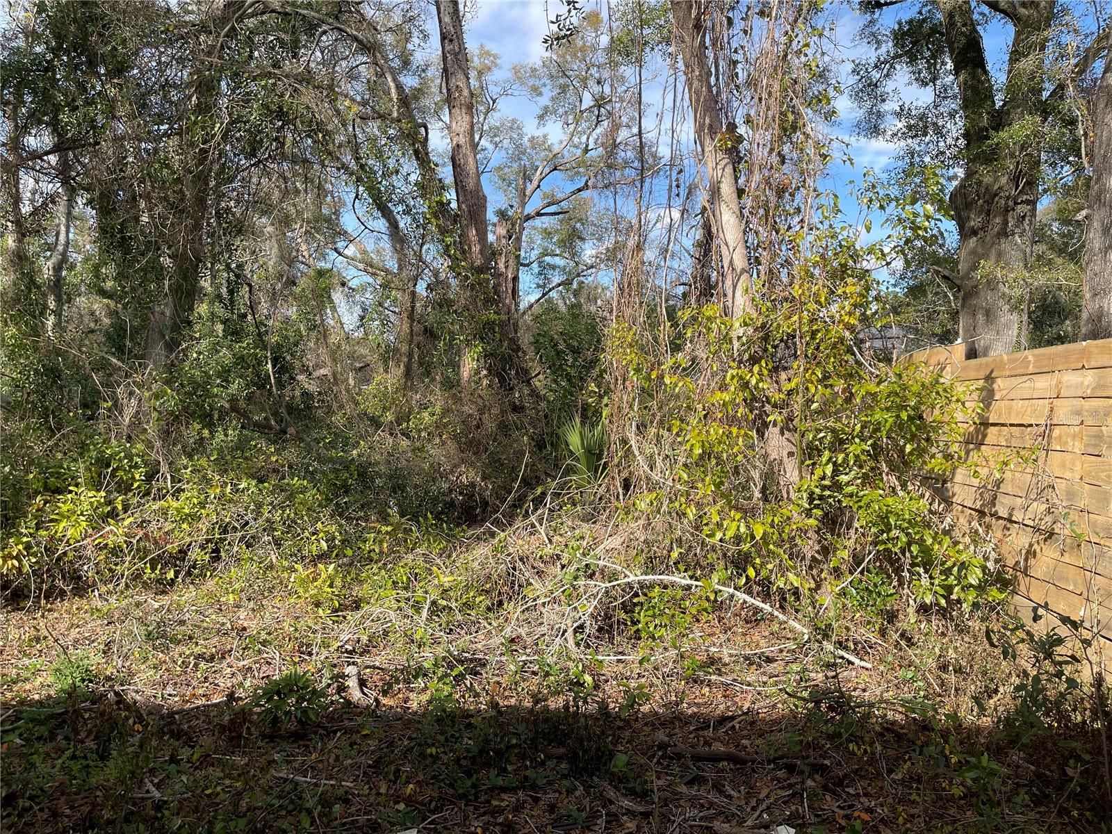 Photo of lot 1 NW 135TH TERRACE ALACHUA FL 32615