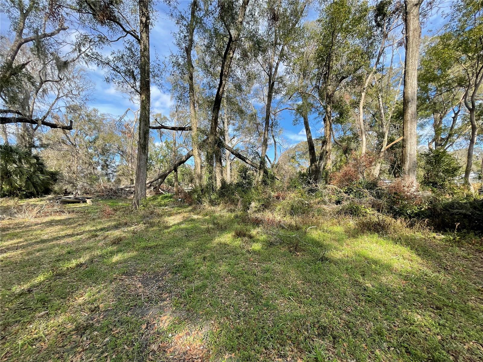 Photo of lot 2 NW 135TH TERRACE ALACHUA FL 32615