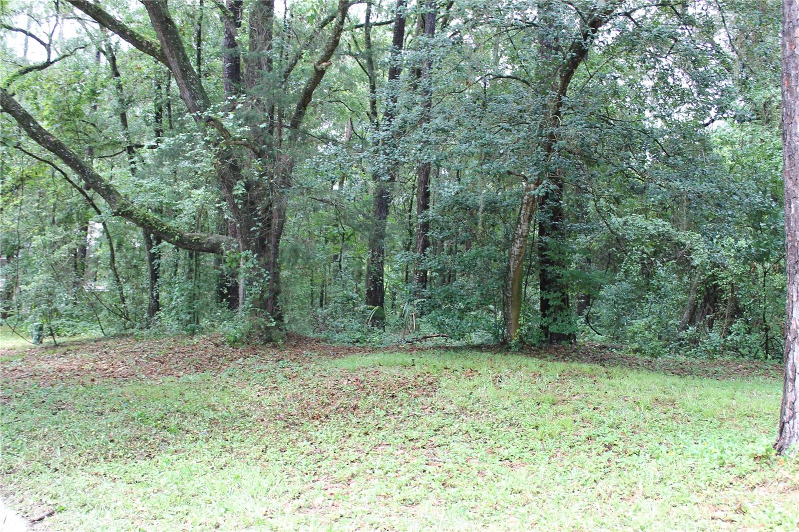 Photo of 2030 SW 70TH TERRACE GAINESVILLE FL 32607