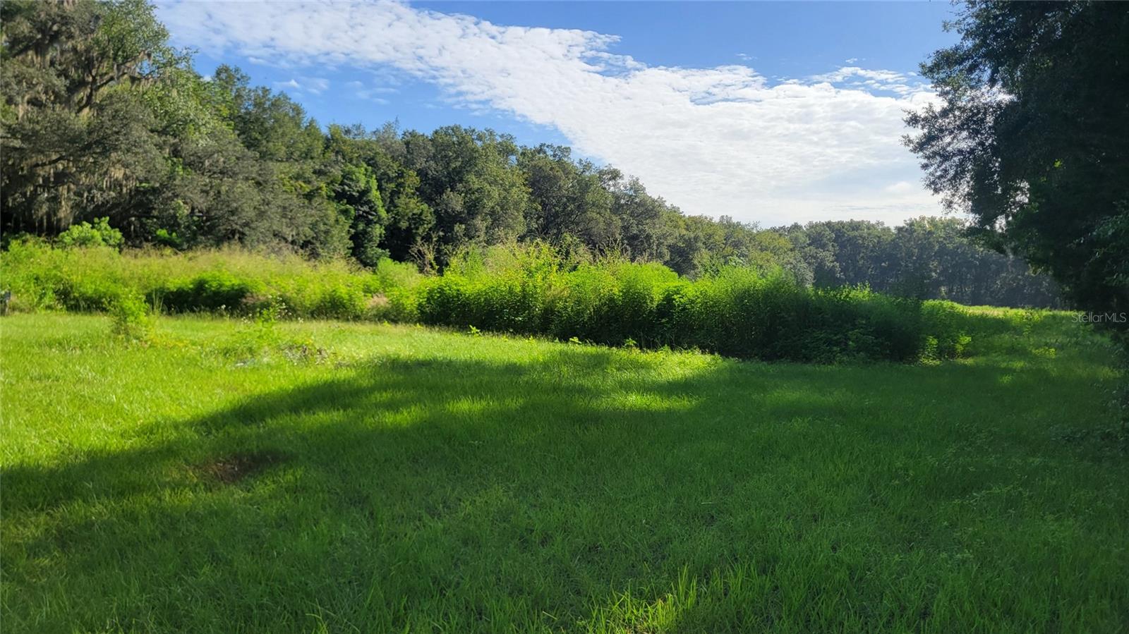 Photo of 1521 NW 27TH AVENUE OCALA FL 34475