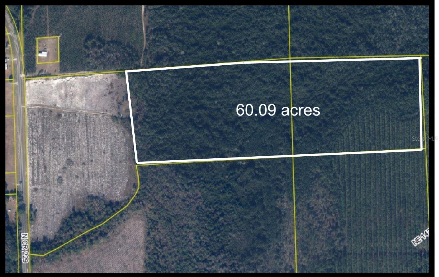 Photo of TBD N COUNTY RD 229 RAIFORD FL 32083