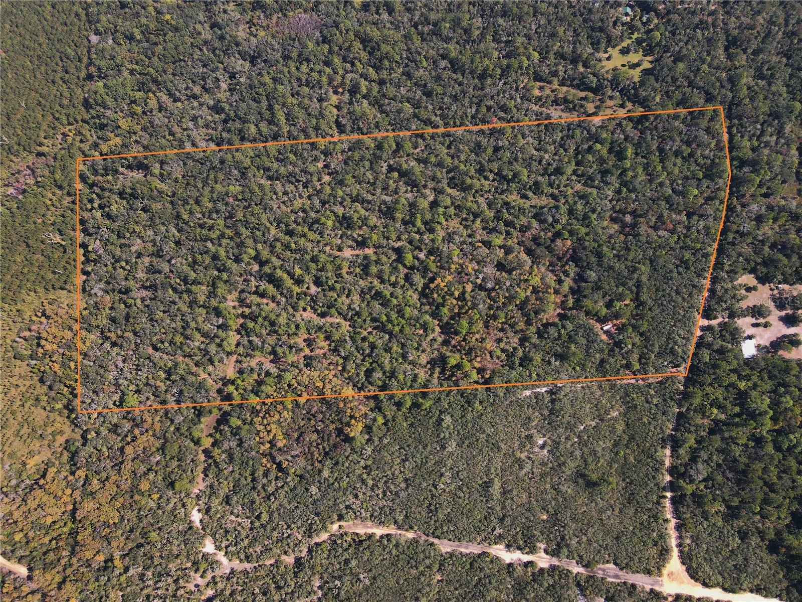 Photo of TBD QUAIL ROAD CEDAR KEY FL 32625