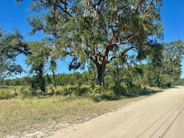 Photo of NE 35TH AVE BRONSON FL 32621