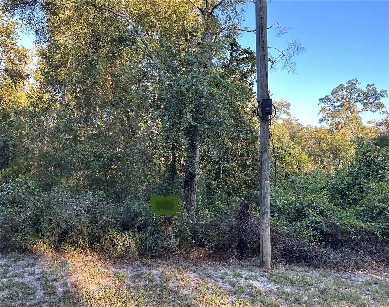 Photo of OOO SE 923RD STREET OLD TOWN FL 32680