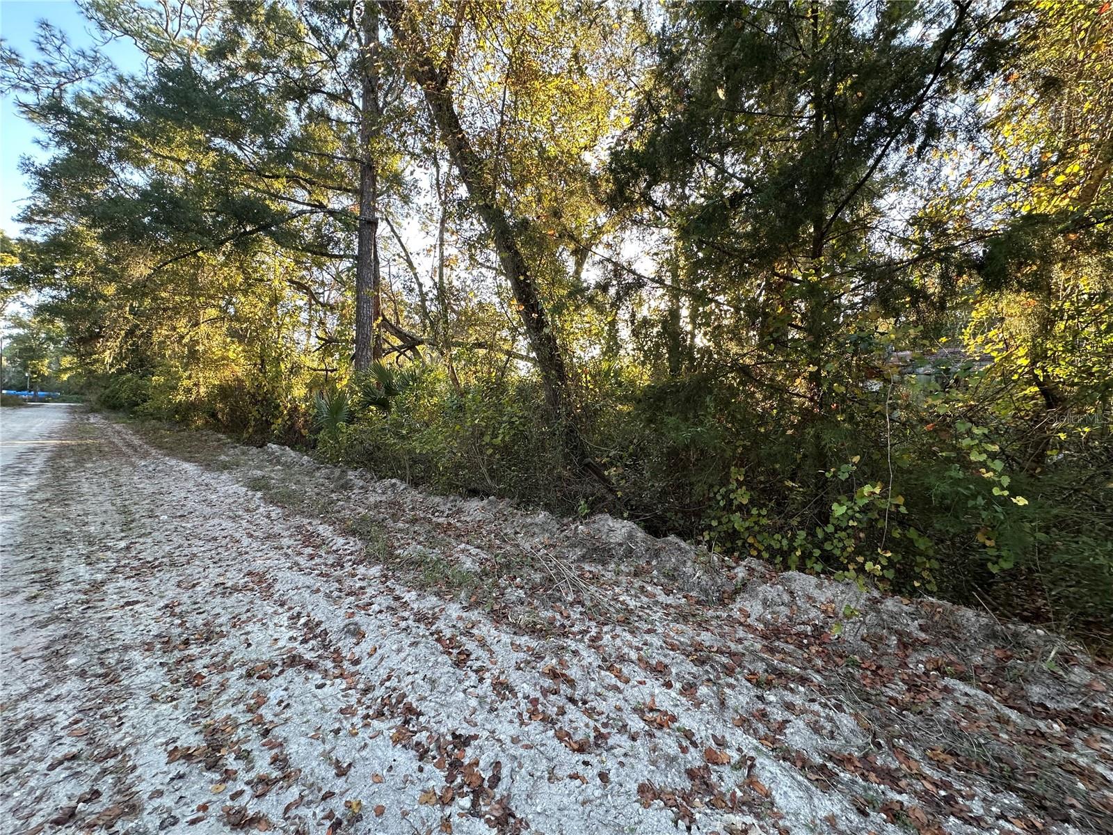 Photo of 000 926TH STREET OLD TOWN FL 32680