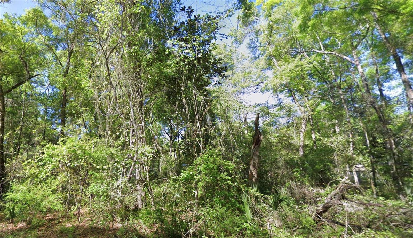 Photo of TBD SE 926TH ST STREET OLD TOWN FL 32680