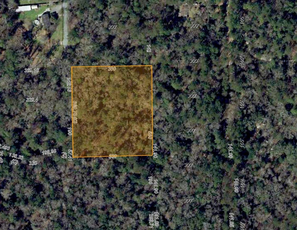 Photo of LITTLE JOHN ROAD TALLAHASSEE FL 32310